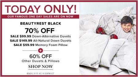 Thebay Com Today Only 70 Off Beautyrest Duvets Nov 17