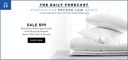 Hudson's Bay Today Only - $99 for Distinctly Home Gel Duvets (Feb 15)