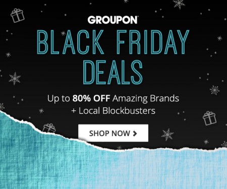 600x500_affiliate_blackfriday2015_v2 (1)