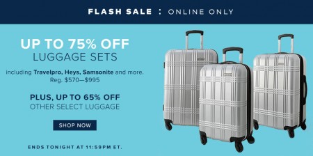 TheBay Flash Sale - Up to 75 Off Luggage Sets (Jan 6)