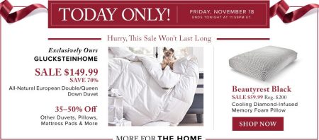 thebay-today-only-70-off-european-down-duvet-nov-18